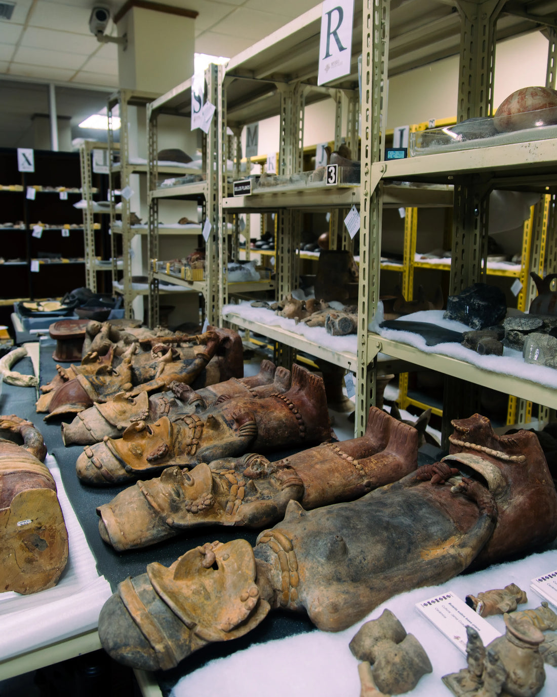 Reserva visible como parte de un museo más democrático