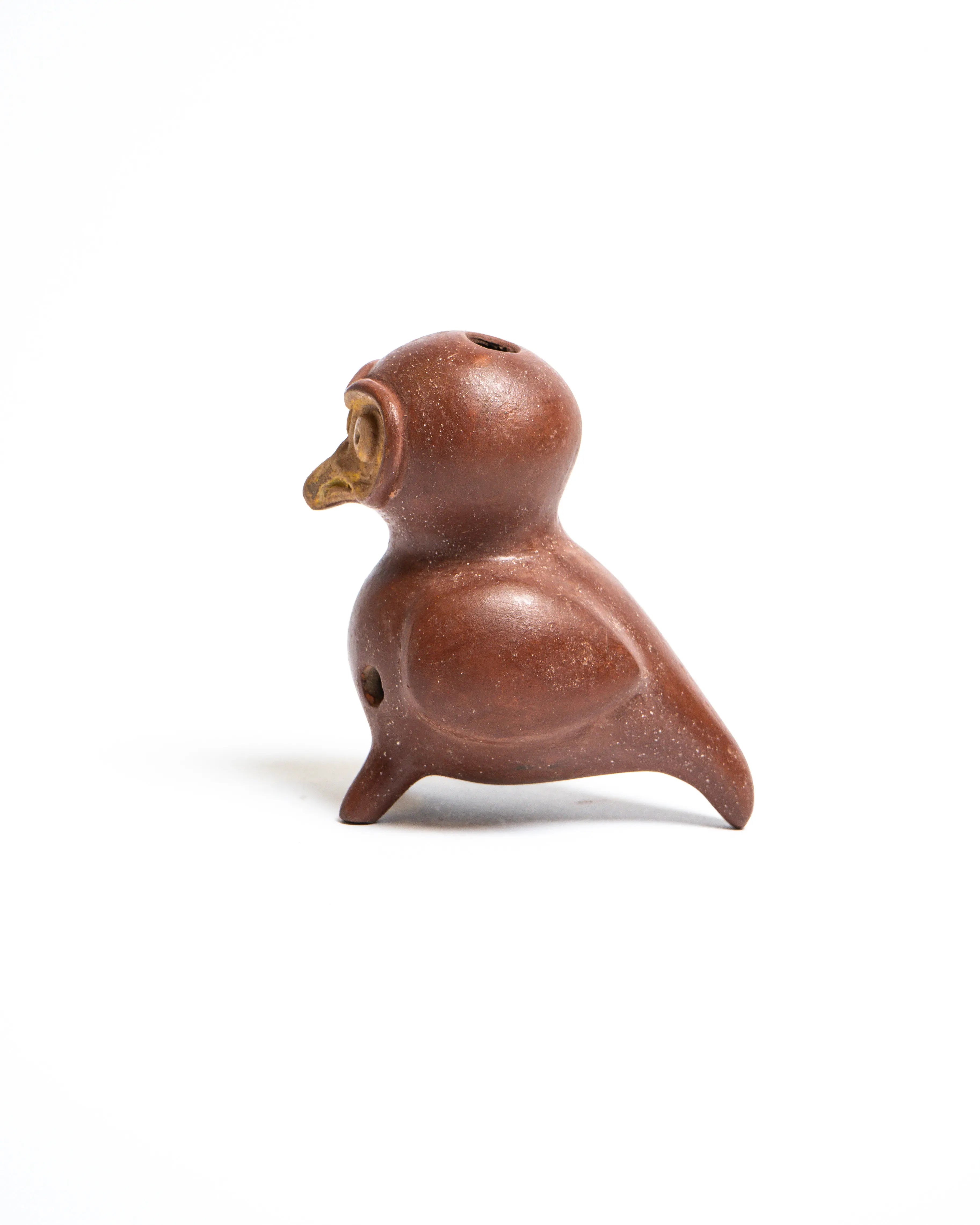 LOROS VIVIÑA