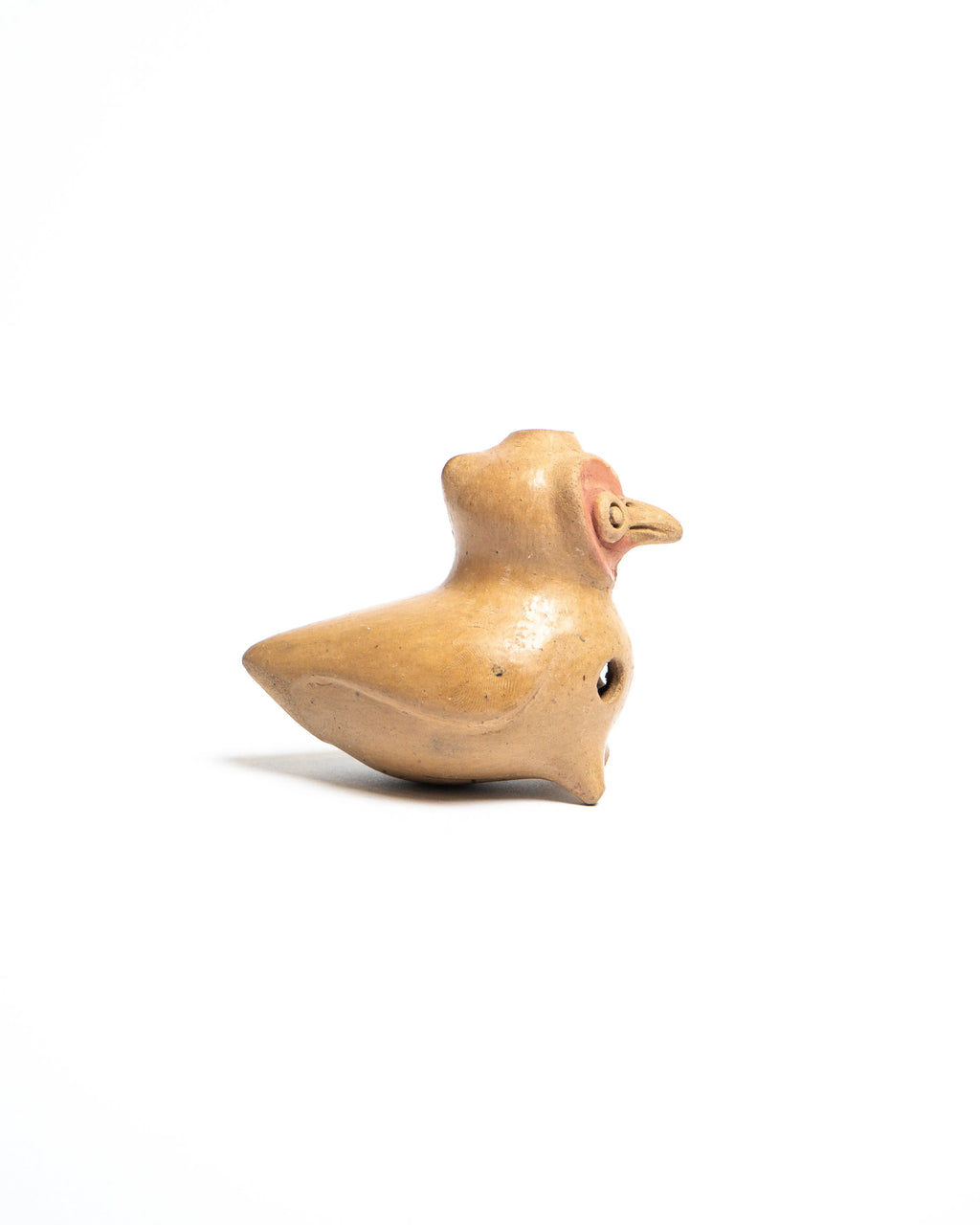 LOROS VIVIÑA